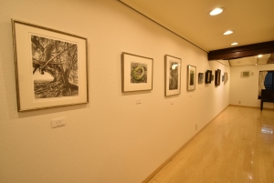 DSC_0081_20221024185828024.jpg