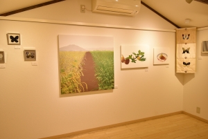 DSC_0905.jpg