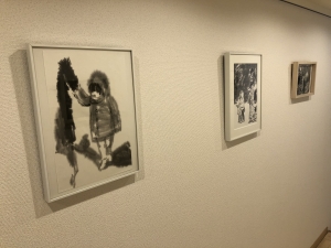 image_50335745.jpg