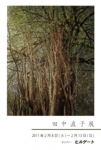 20110208_k.jpg