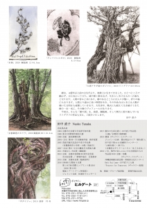 田中直子 小品展「樹の話」 裏