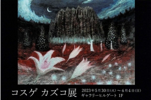 23コスゲカズコ展 画像面